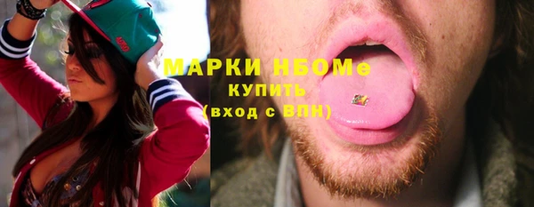 индика Вязники