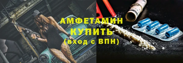 индика Вязники